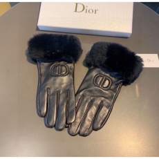 Christian Dior Gloves